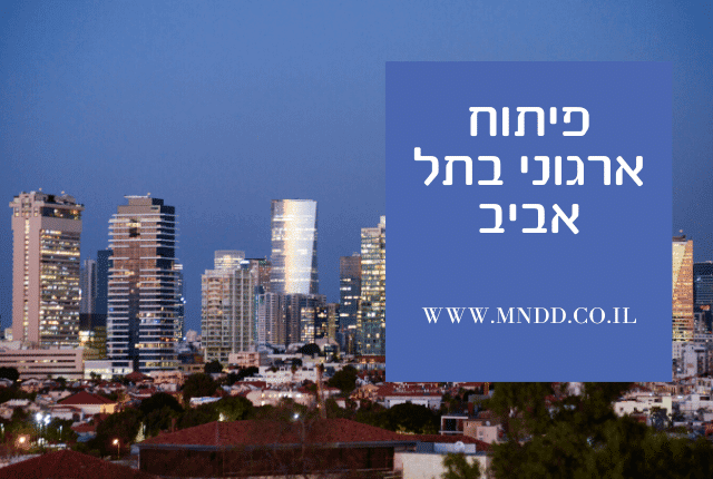 פיתוח ארגוני בתל אביב - MINDED