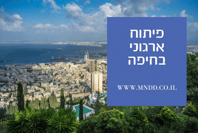 פיתוח ארגוני בחיפה | MINDED