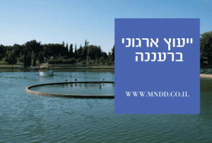 ייעוץ ארגוני ברעננה